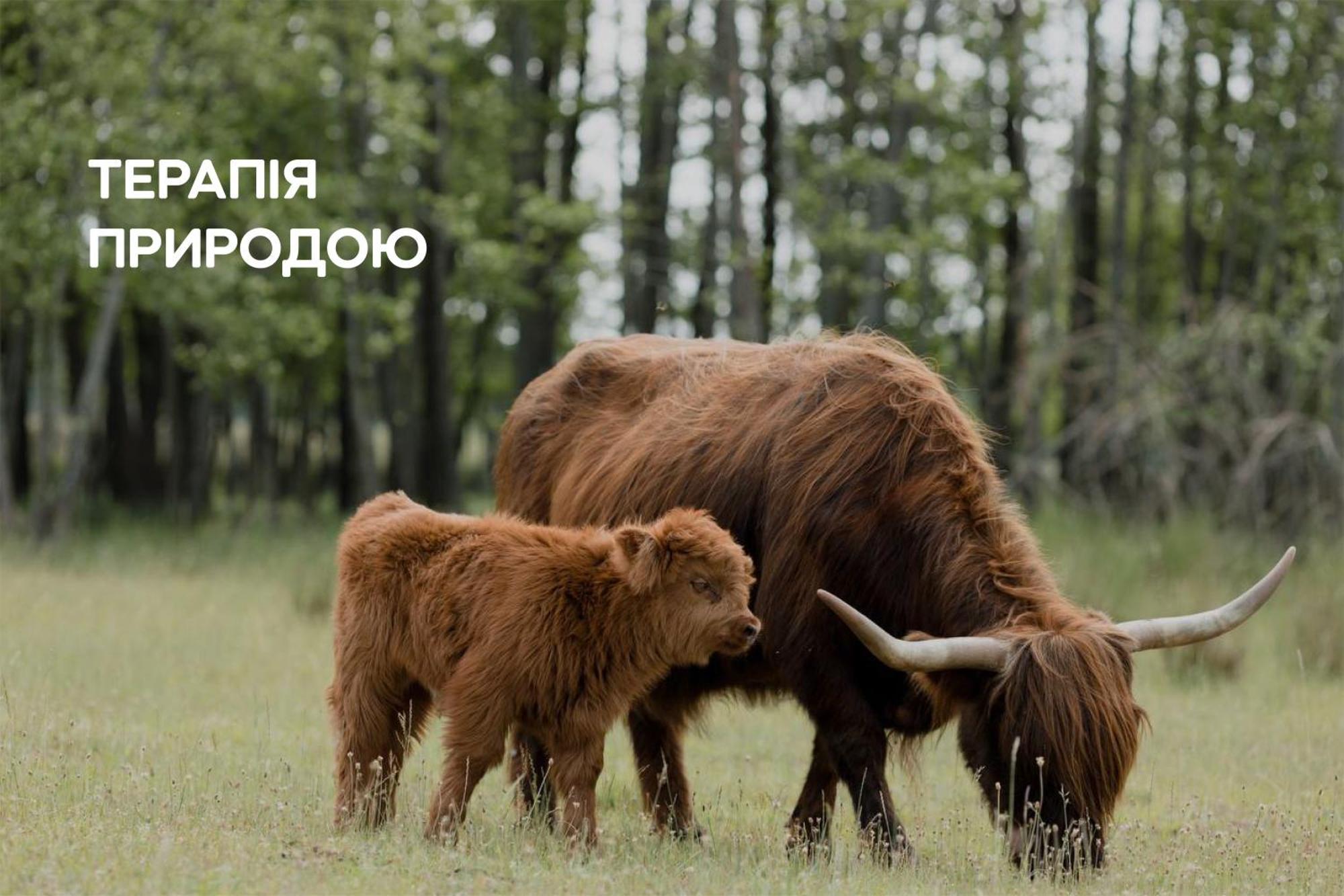 Dereville Sokolovka Exterior foto